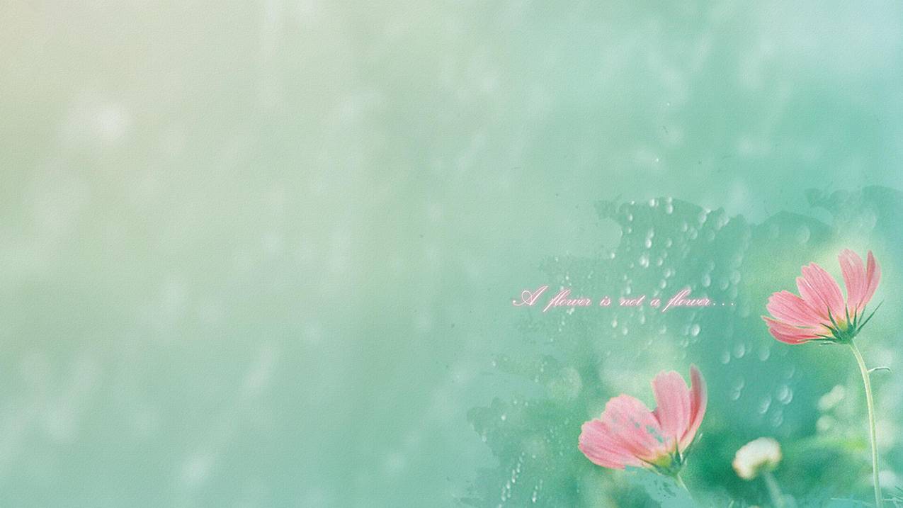 hero-image